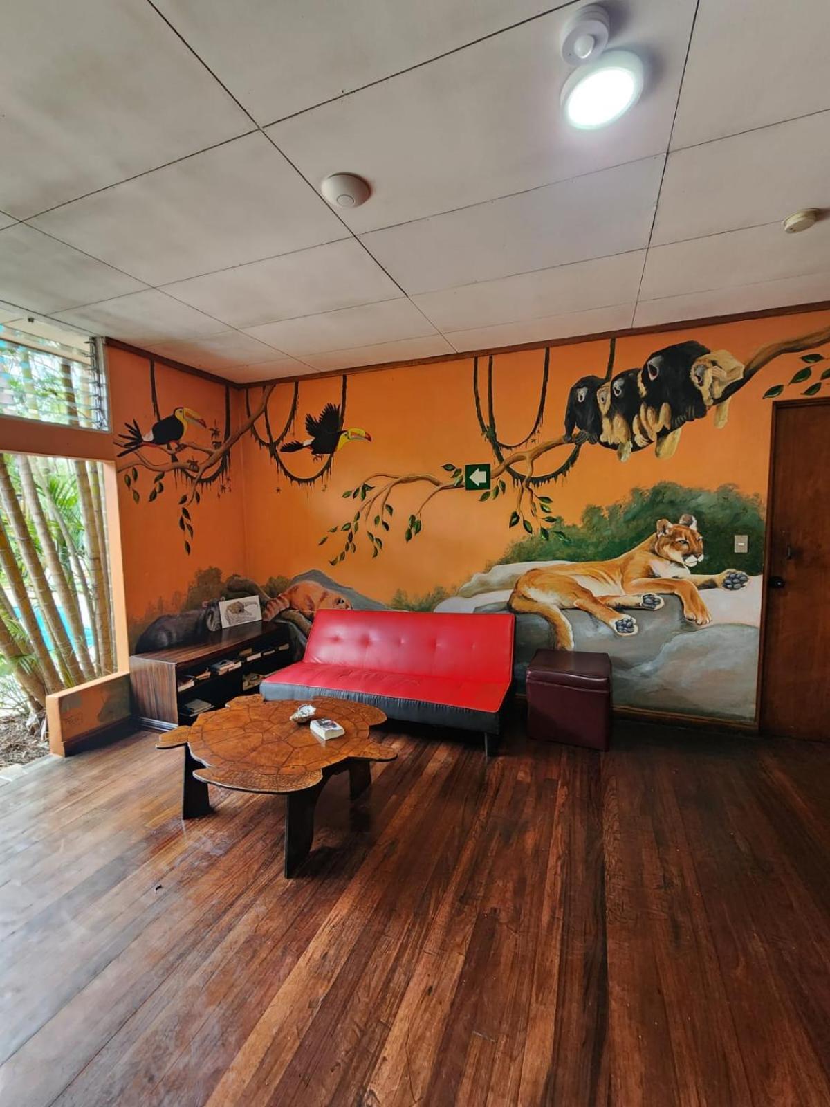 Albergue Costa Rica Backpackers San José Exterior foto