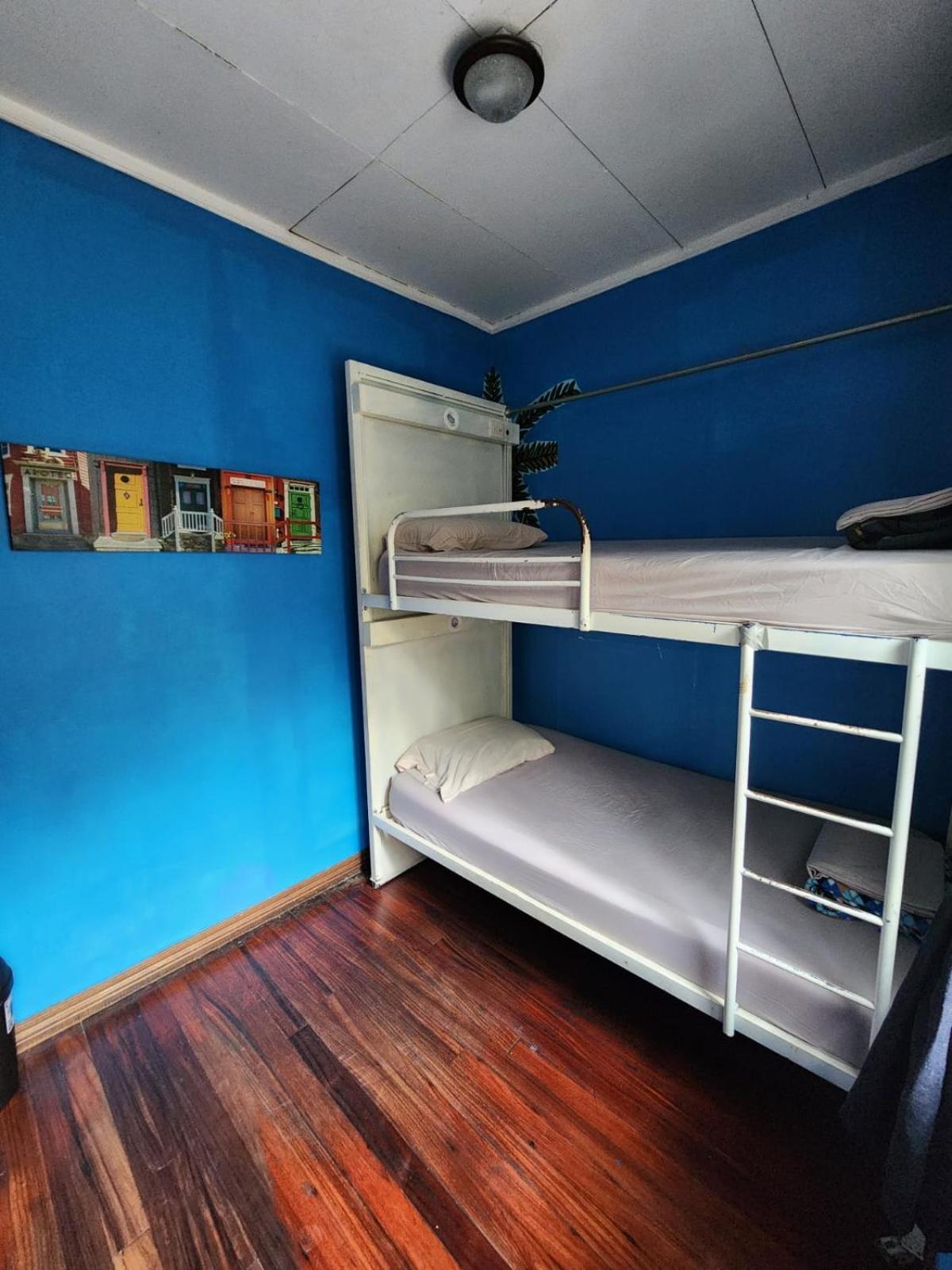 Albergue Costa Rica Backpackers San José Exterior foto