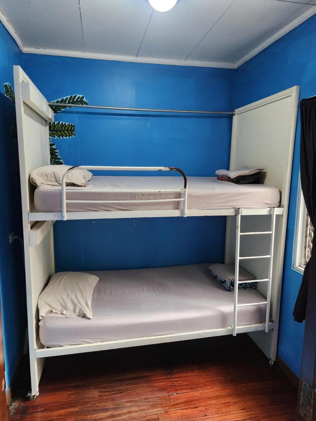 Albergue Costa Rica Backpackers San José Habitación foto